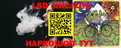 шишки Заводоуковск