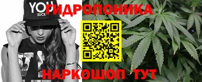 PSILOCYBIN Заволжье