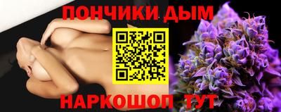 шишки Заводоуковск