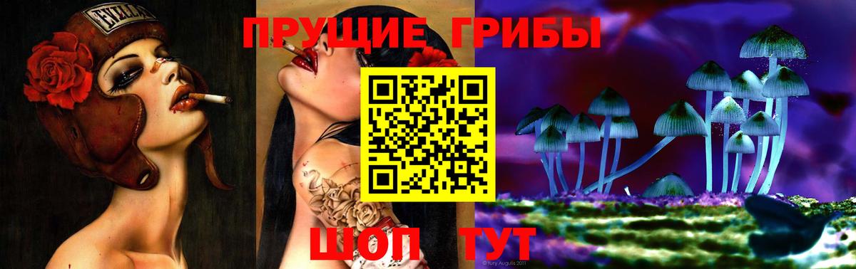 закладки  Вход с VPN  Магнитогорск  Галлюциногенные грибы мухоморы  Галлюциногенные грибы мицелий 